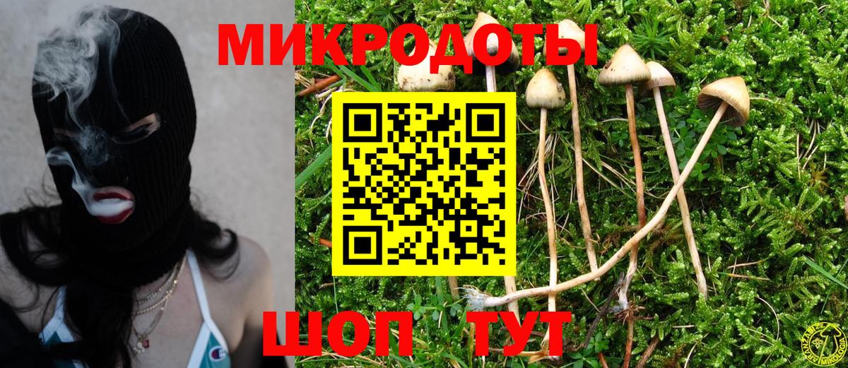 Галлюциногенные грибы MAGIC MUSHROOMS Керчь